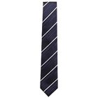 Elegant Tie from Arrow...