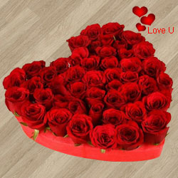 101 Exclusive <font color =#FF0000> Dutch Red </fo...