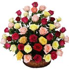 Pristine Basket of Multicoloured Roses...