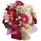 Perk-of-Feelings Premium Arrangement...