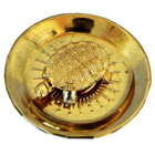 Golden Icchapurti Tortoise...