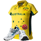 Outstanding Fast Bowler Mitchell Johnson Bowling K...