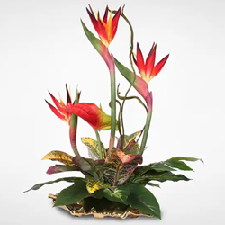 Beautiful bouquet of Birds of Paradise and Anthuri...