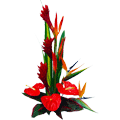 Beautiful bouquet of Birds of Paradise and Anthuri...