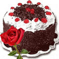 Sumptuous Black Forest Cake and a fresh Red Rose...