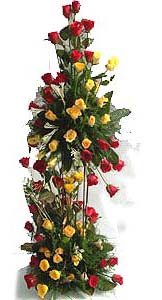 Arrangement of 100 vivacious colorful Roses...