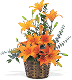 Bouquet Of charming Lilies...