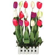 Fresh 15 Tulips Garden with Artificial Arrangement Fresh 15 Tulips Garden with Artificial Arrangement