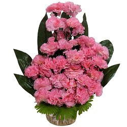 Enchanting Pomp Non-Perishable Flowers Enchanting Pomp Non-Perishable Flowers