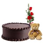 Frill-to-Fascination Gladness Pack Frill-to-Fascination Gladness Pack