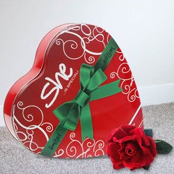 Archise’s Compelling Nearness Valentine’s Day Souvenir Archise’s Compelling Nearness Valentine’s Day Souvenir