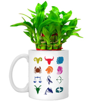 Fast-Growing Lucky Bamboo Tree designed in Sunsign Mug Fast-Growing Lucky Bamboo Tree designed in Sunsign Mug