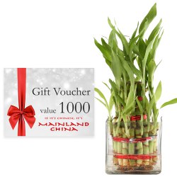 Impressive Selection of Mainland China Gift Voucher of Rs.1000 along with Lucky Bamboo Plant in Bowl Impressive Selection of Mainland China Gift Voucher of Rs.1000 along with Lucky Bamboo Plant in Bowl