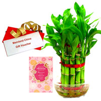 Long-Lasting Present of Bamboo Plant, Anniversary Card and Mainland China Voucher Long-Lasting Present of Bamboo Plant, Anniversary Card and Mainland China Voucher