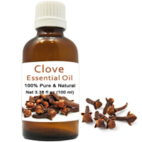 Attractive Selection of Healthy Clove Essential Oil Attractive Selection of Healthy Clove Essential Oil