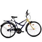 Astonishing BSA Street Rider Bicycle Astonishing BSA Street Rider Bicycle