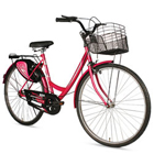 One-of-Kind BSA Ladybird Shine Bicycle One-of-Kind BSA Ladybird Shine Bicycle