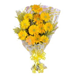 Artistic Composition of One Dozen Gerberas Artistic Composition of One Dozen Gerberas