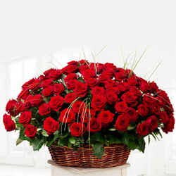 150 Red Dutch Roses Arrangement 150 Red Dutch Roses Arrangement