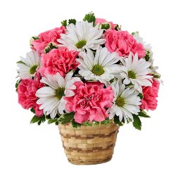 Lovely colorful Flower arrangement in a Bamboo Pot Lovely colorful Flower arrangement in a Bamboo Pot