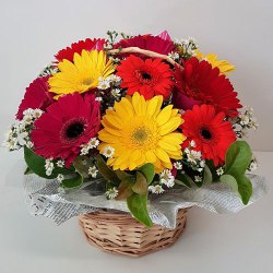 Enchanting Basket of Mixed Gerberas Enchanting Basket of Mixed Gerberas