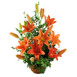 Cheerful Bouquet Of Lilies with Impressions of Love Cheerful Bouquet Of Lilies with Impressions of Love