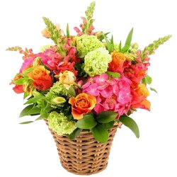 Tropical Mix Arrangement of Fresh Flowers with Fond Affection Tropical Mix Arrangement of Fresh Flowers with Fond Affection