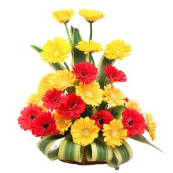 Touching Seasons Greetings 12 Mixed Roses in a Vase Touching Seasons Greetings 12 Mixed Roses in a Vase