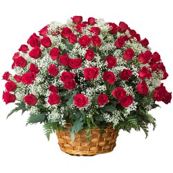 101/201/501/1001 <font color =FF0000> Dutch Red </font> Roses Arrangement 101/201/501/1001 <font color =FF0000> Dutch Red </font> Roses Arrangement