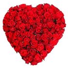 150 Dutch Red Roses in Heart Shape Arrangement 150 Dutch Red Roses in Heart Shape Arrangement