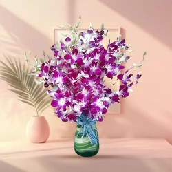 Lovely Orchids in Vase Lovely Orchids in Vase