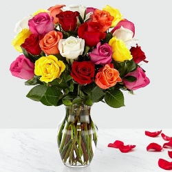 Lovely Vase containing 24 Mixed Roses Lovely Vase containing 24 Mixed Roses