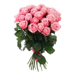 12 Pink Roses Bunch 12 Pink Roses Bunch