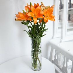 Fashionable Vase Filled with 6 Pcs. Mixed Lilies Fashionable Vase Filled with 6 Pcs. Mixed Lilies
