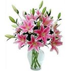 Expressive Lilies in Pink Color with Vase Expressive Lilies in Pink Color with Vase