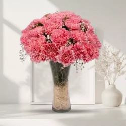 Classic 12 Pink Carnation with Free Vase Classic 12 Pink Carnation with Free Vase