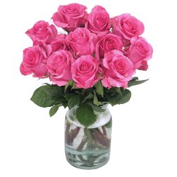 Charming Presentation of Roses in a Vase Charming Presentation of Roses in a Vase