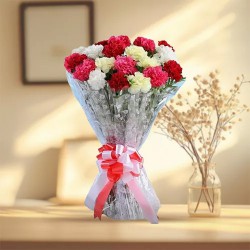 Magnetic Bunch of Mixed Carnations Magnetic Bunch of Mixed Carnations