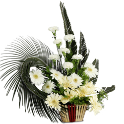 Artful Display of Carnations N Gerberas Artful Display of Carnations N Gerberas