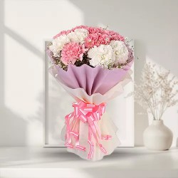 Delicate Assemble of White N Pink Carnations Delicate Assemble of White N Pink Carnations