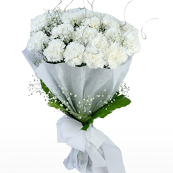 Blossoming Bouquet of White Carnations Blossoming Bouquet of White Carnations