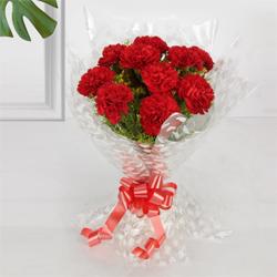 Enchanting Red Carnation Gift Bouquet Enchanting Red Carnation Gift Bouquet