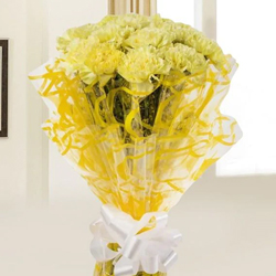 Precious Yellow Coloured Carnations Gift Bouquet<br> Precious Yellow Coloured Carnations Gift Bouquet<br>