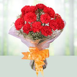 Designed Presentation of Red Carnations Designed Presentation of Red Carnations