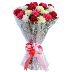 Expressive Mixed Carnations Arrangement <br><br> Expressive Mixed Carnations Arrangement <br><br>