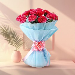 Regal Carnations Bouquet in Pink Colour Regal Carnations Bouquet in Pink Colour