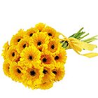 Fashionable Bunch of Gerberas in Yellow Colour Fashionable Bunch of Gerberas in Yellow Colour
