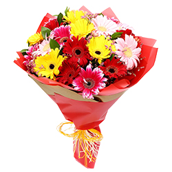Sunny Display of Mixed Gerberas Sunny Display of Mixed Gerberas
