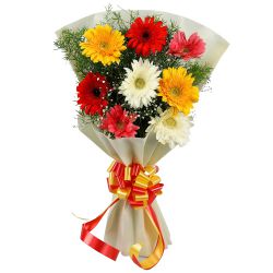 Colour-Coordinated Arrangement of Mixed Gerberas Colour-Coordinated Arrangement of Mixed Gerberas