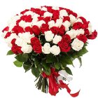 Heavenly Dazzle Red N White Roses Collection Heavenly Dazzle Red N White Roses Collection
